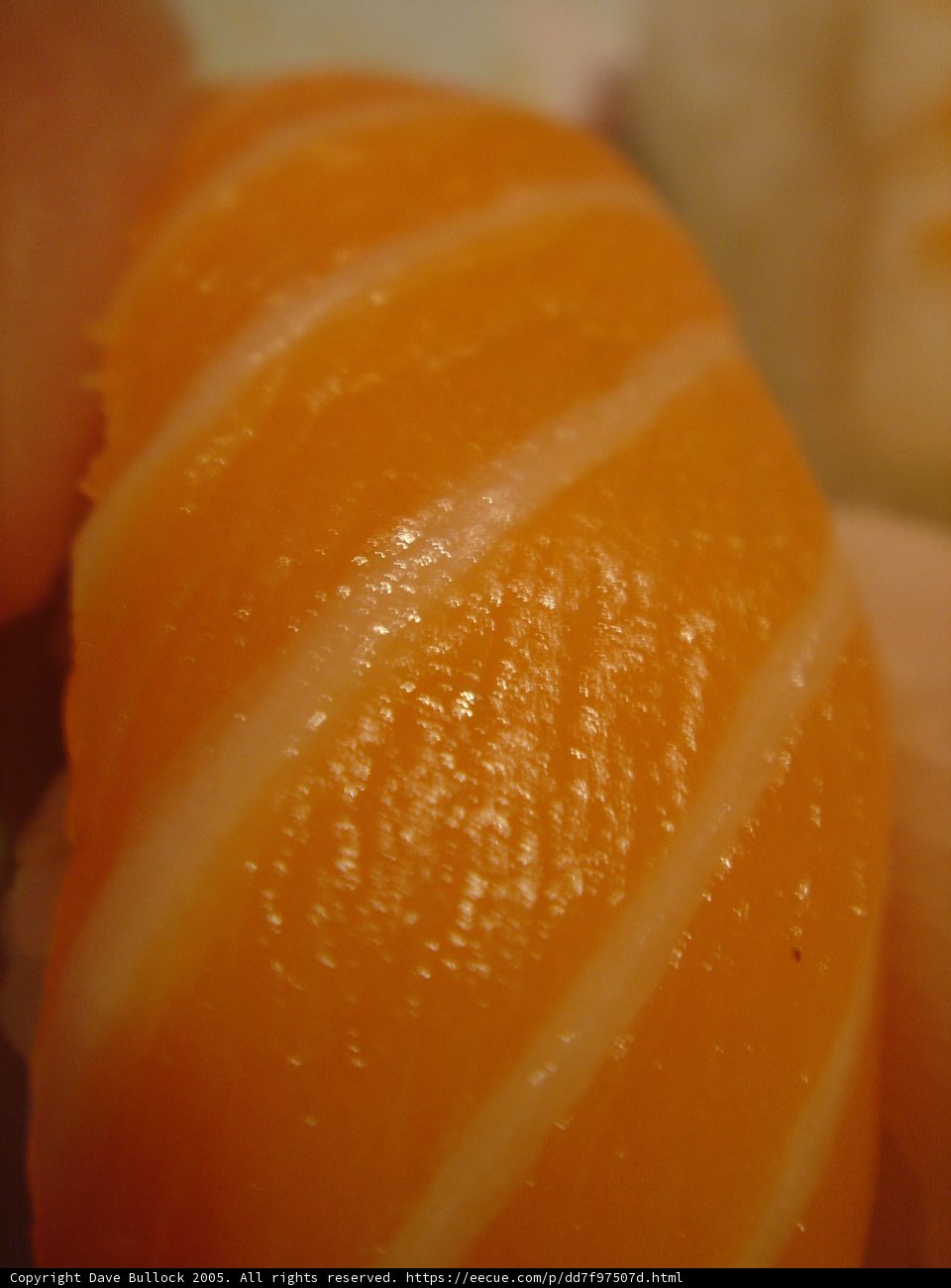 Sushi Roll with a Citrus Twist