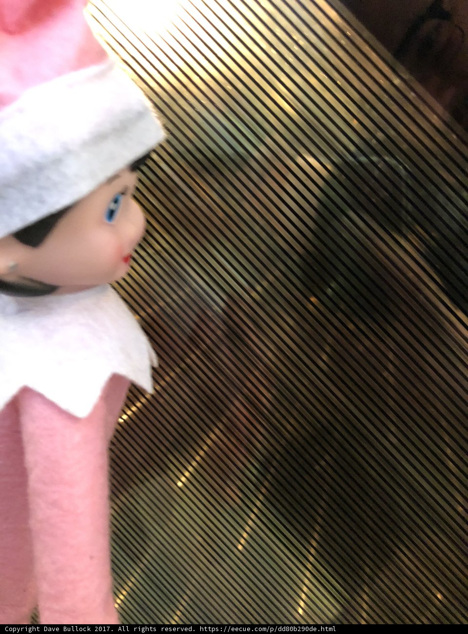 Elf on the Shelf Steals the Show