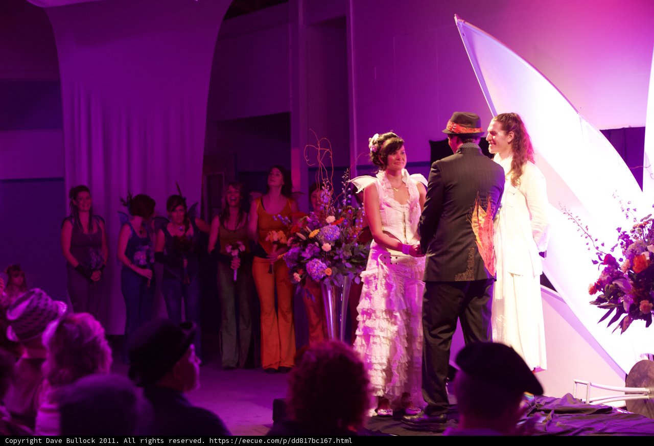 Happily Ever After Begins