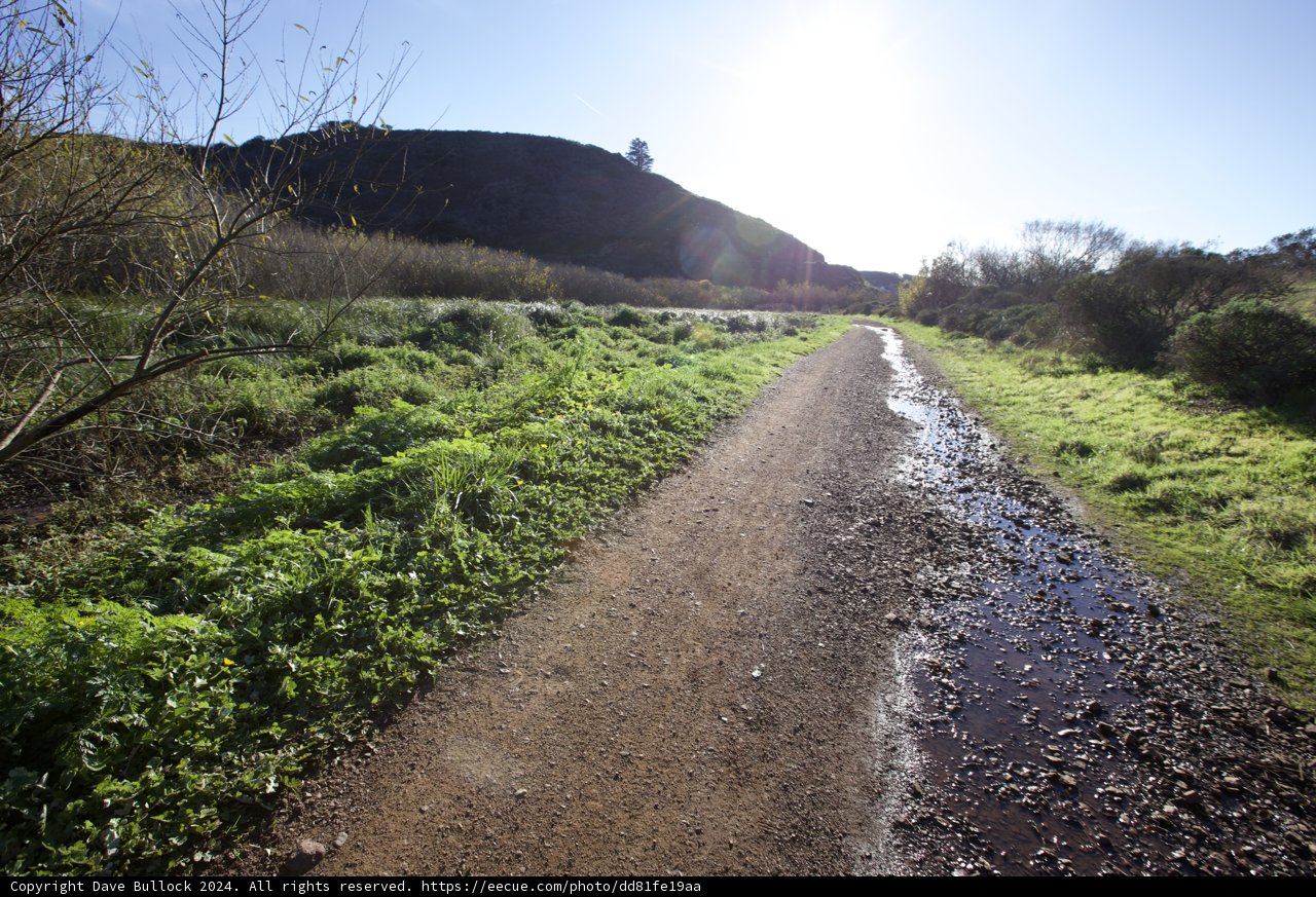 Sunlit Journey Through the Headlands