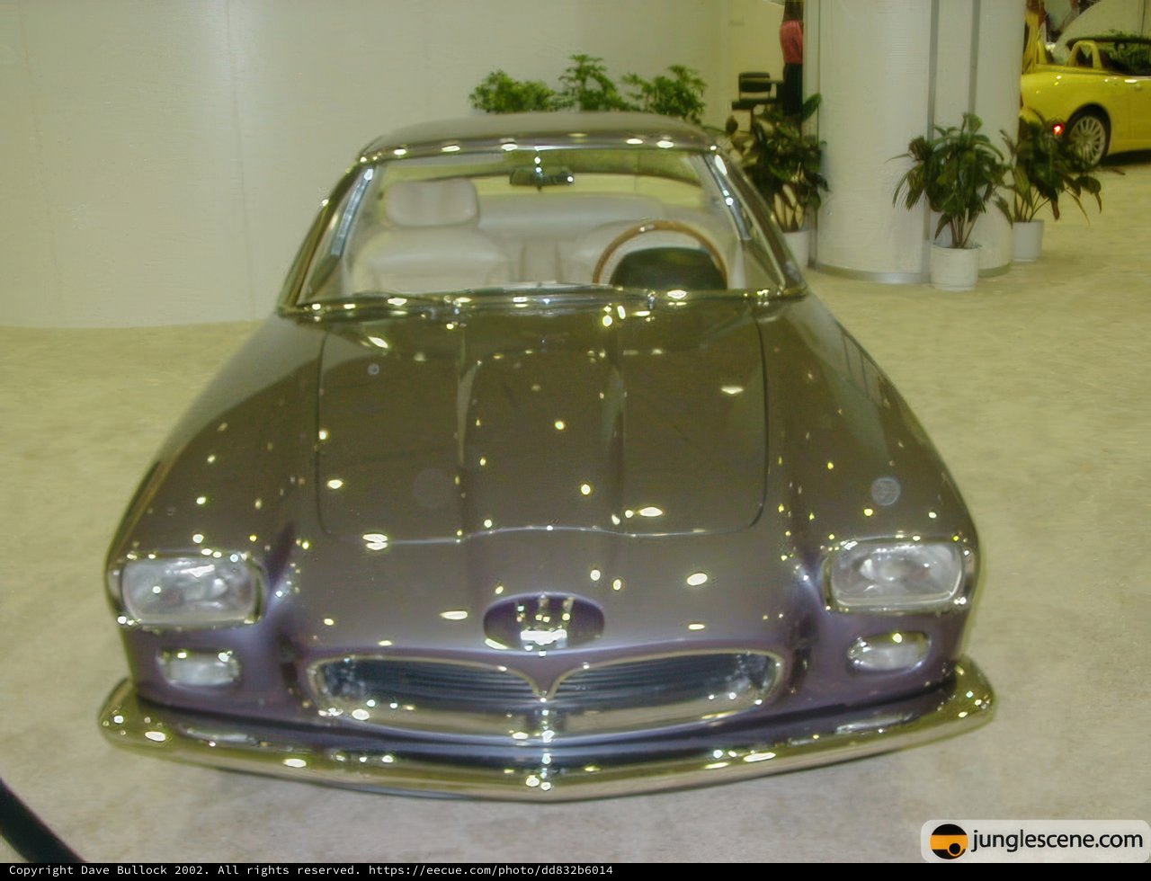 Vintage Car Steals the Show