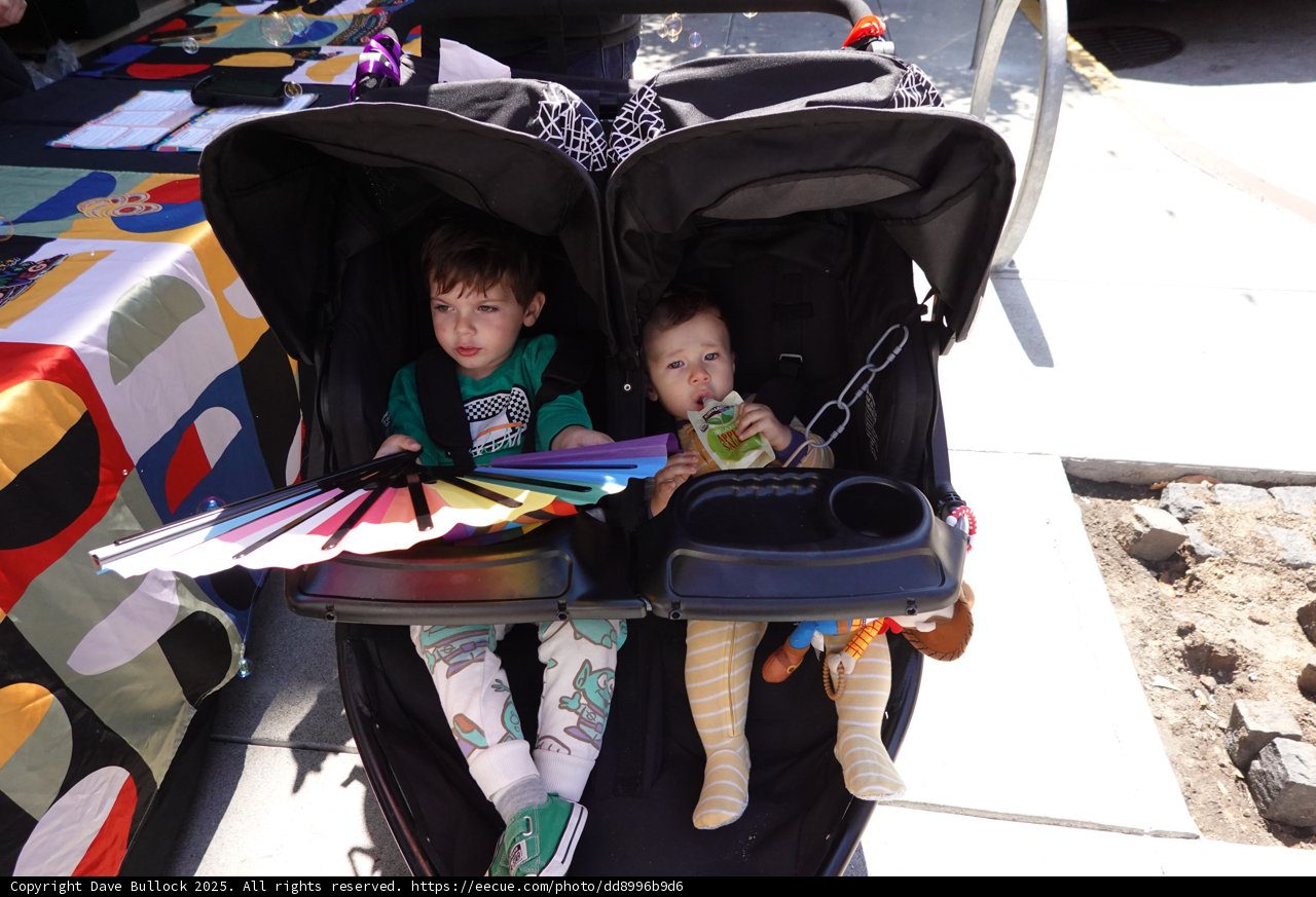 Stroller Adventures