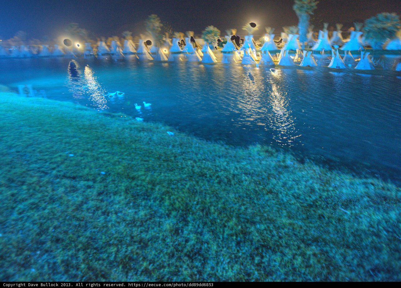 Duck Lake at Coachella