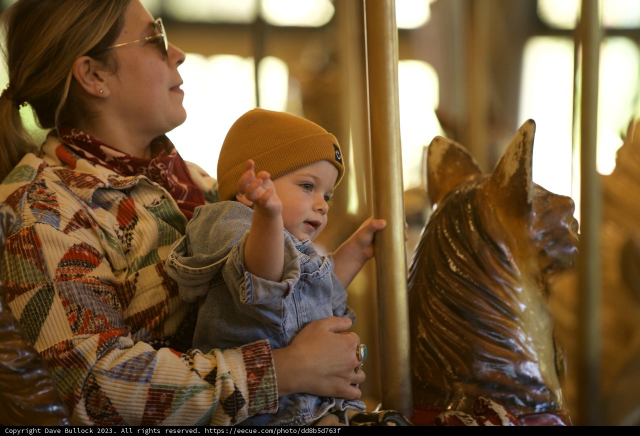 Carousel Joy at SF Zoo