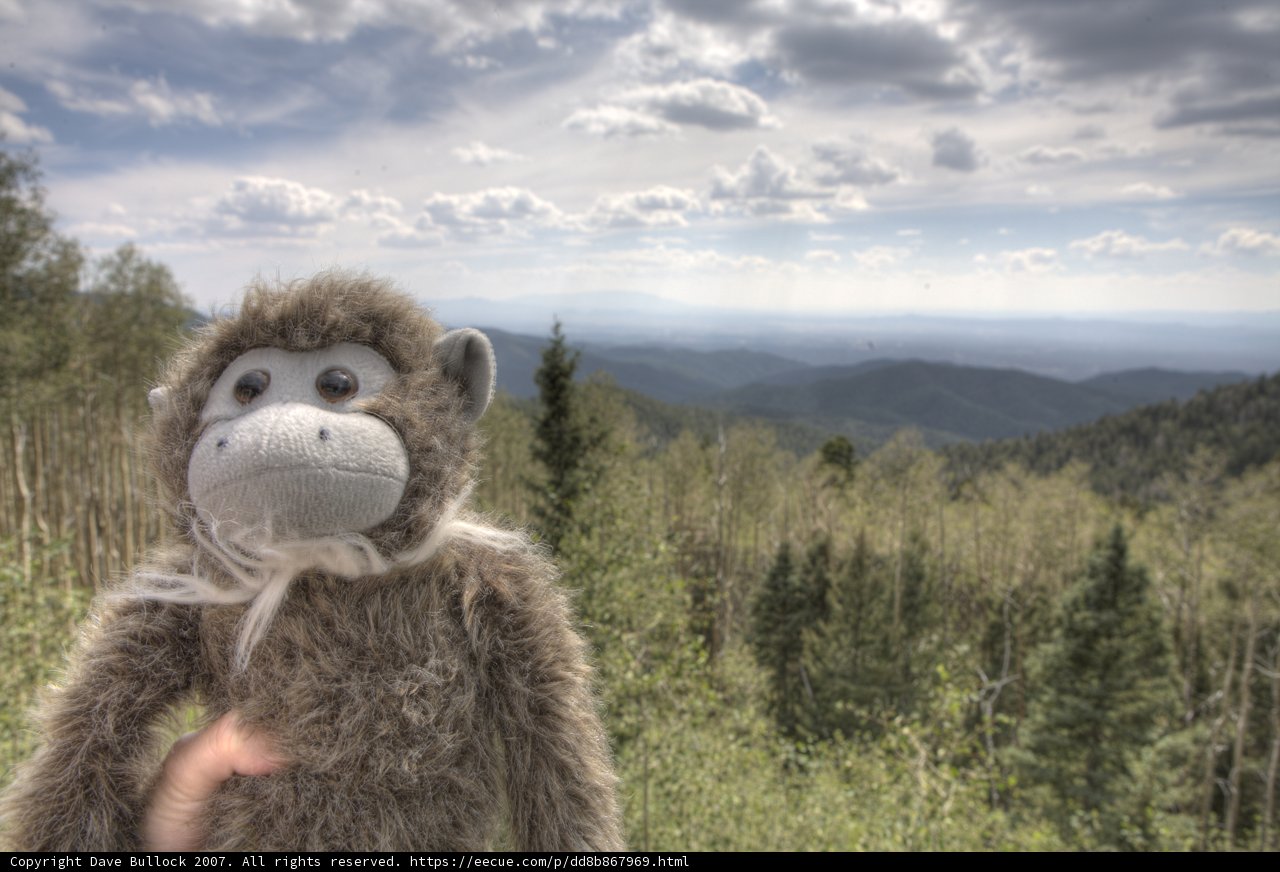 Monkeying around the mountain