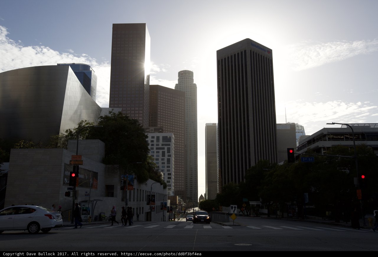 Urban Metropolis in Motion