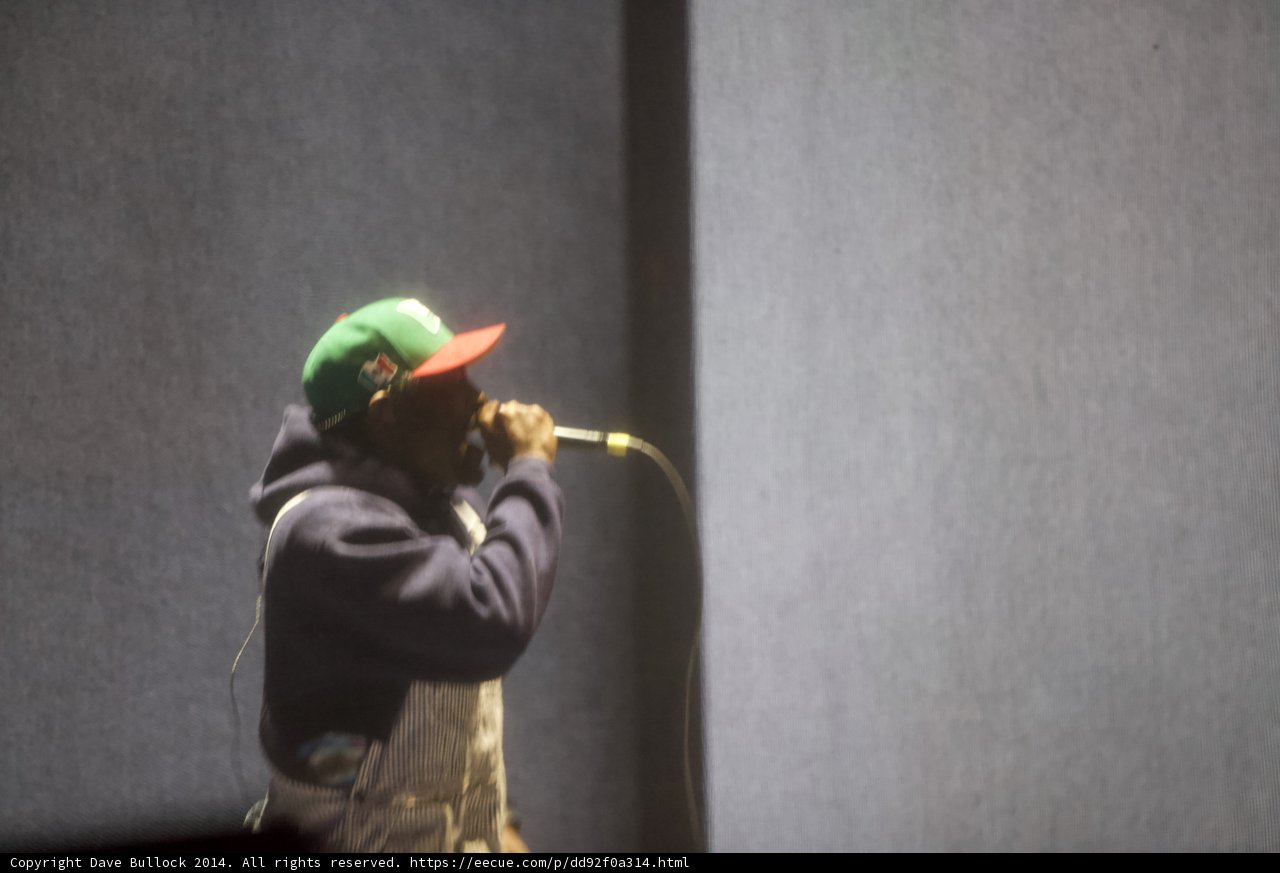 Green Hat Musician