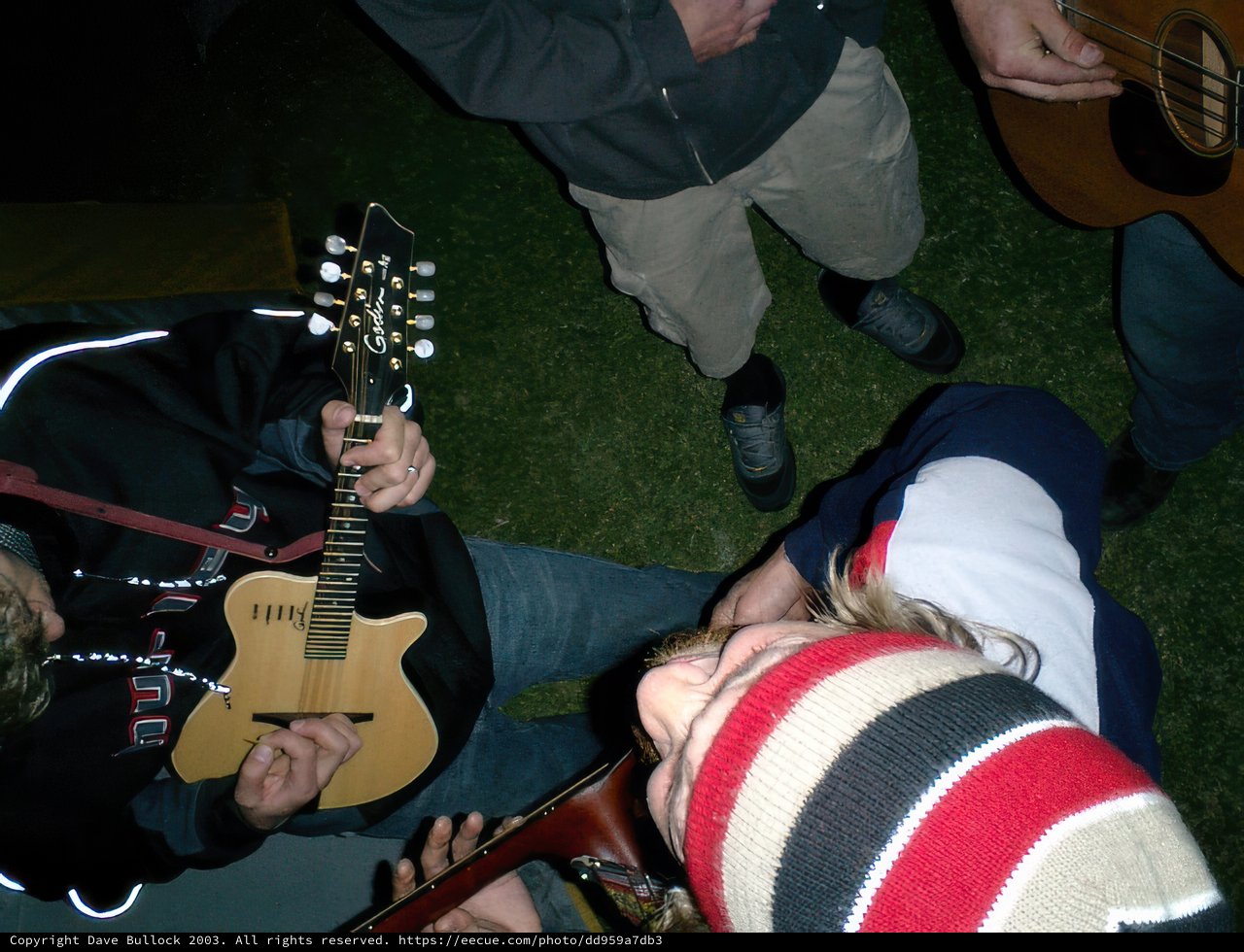 Strumming into the Night