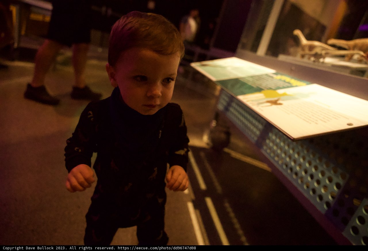 A Day at The Museum: Unearthing the Past