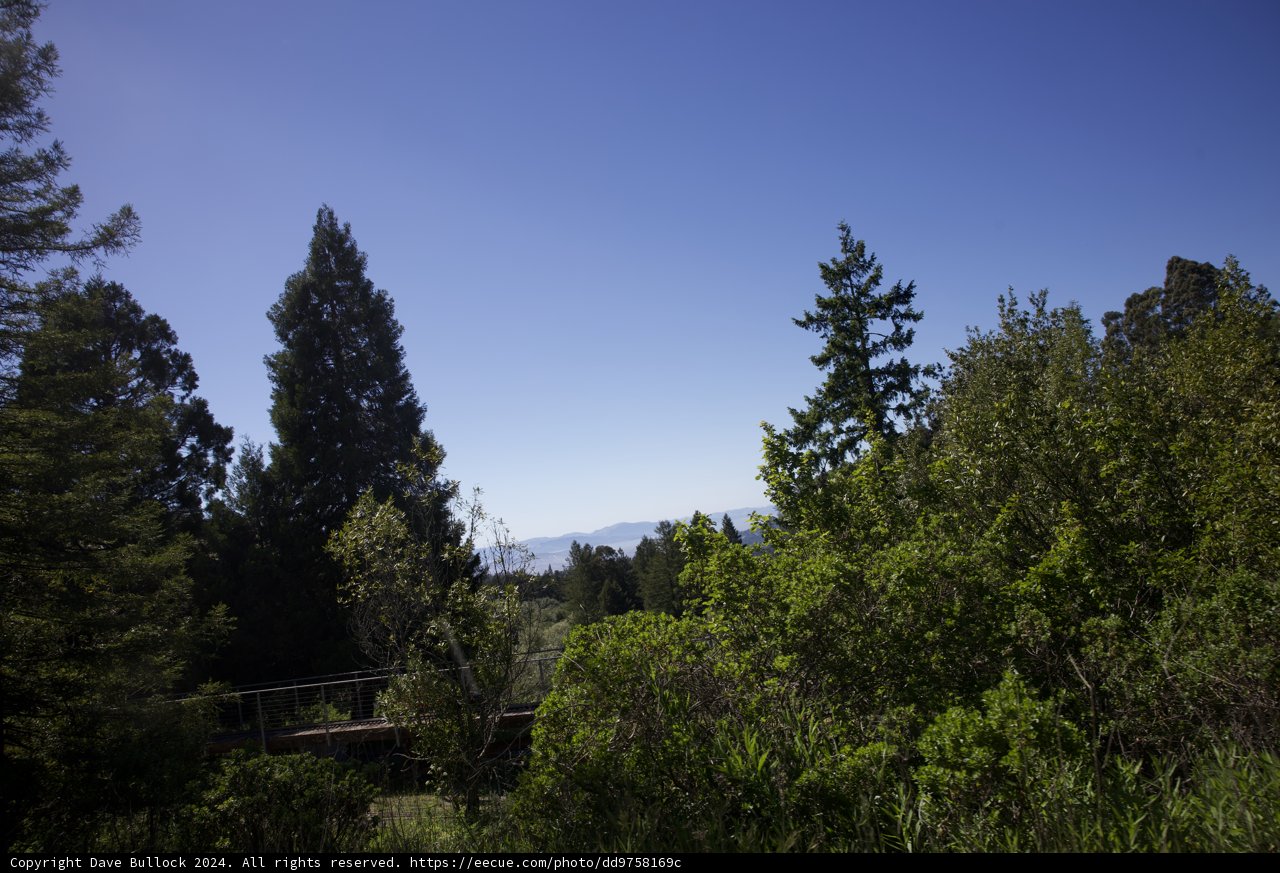 Verdant Views at Tilden Regional Park
