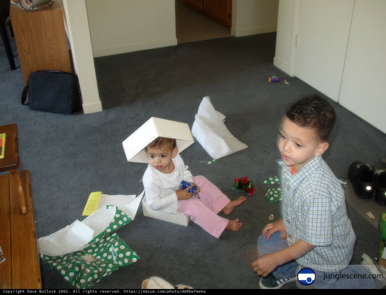 Imaginative Play with a Cardboard Box