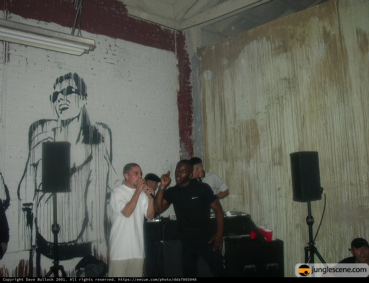 Mural Music Performance