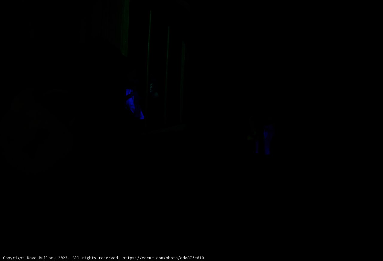 A Mysterious Adventure in the Dark