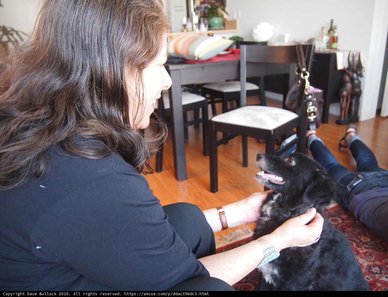 Cozy Moments with Furry Friend