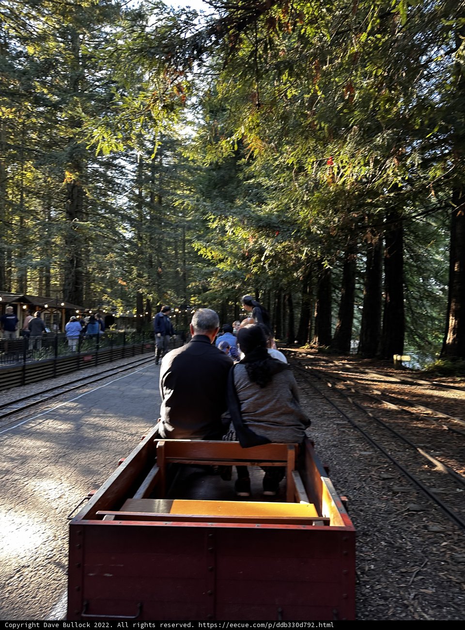 Riding through the Tilden Regional Park wilderness