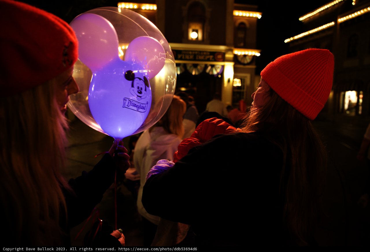 Magical Moments at Disneyland