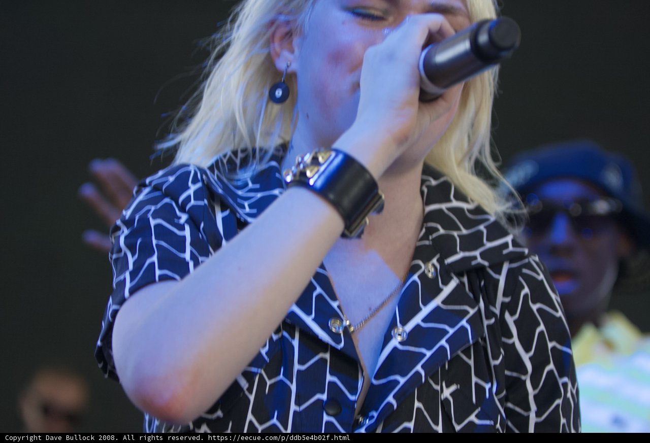 The Blonde Entertainer