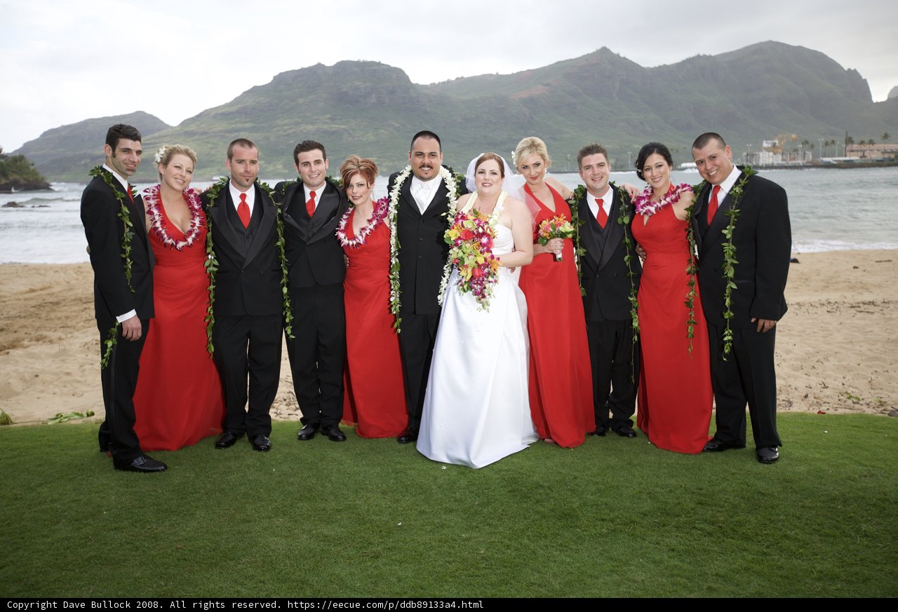 Wedding Party on the Cloudy Shore