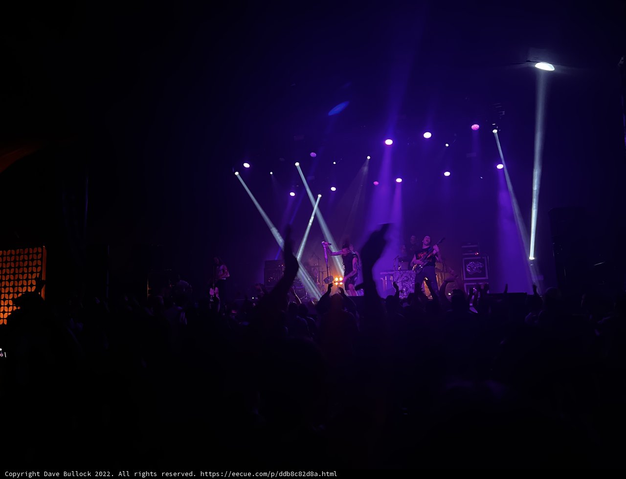 Purple Haze Concert