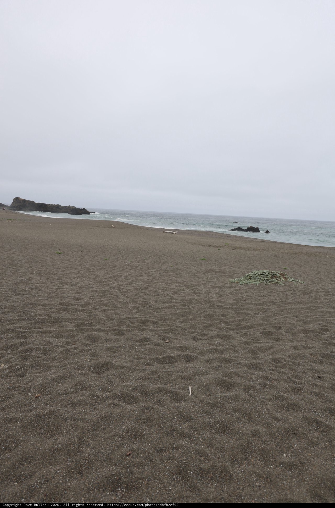 Foggy Northern California Coastline on a Gray Day