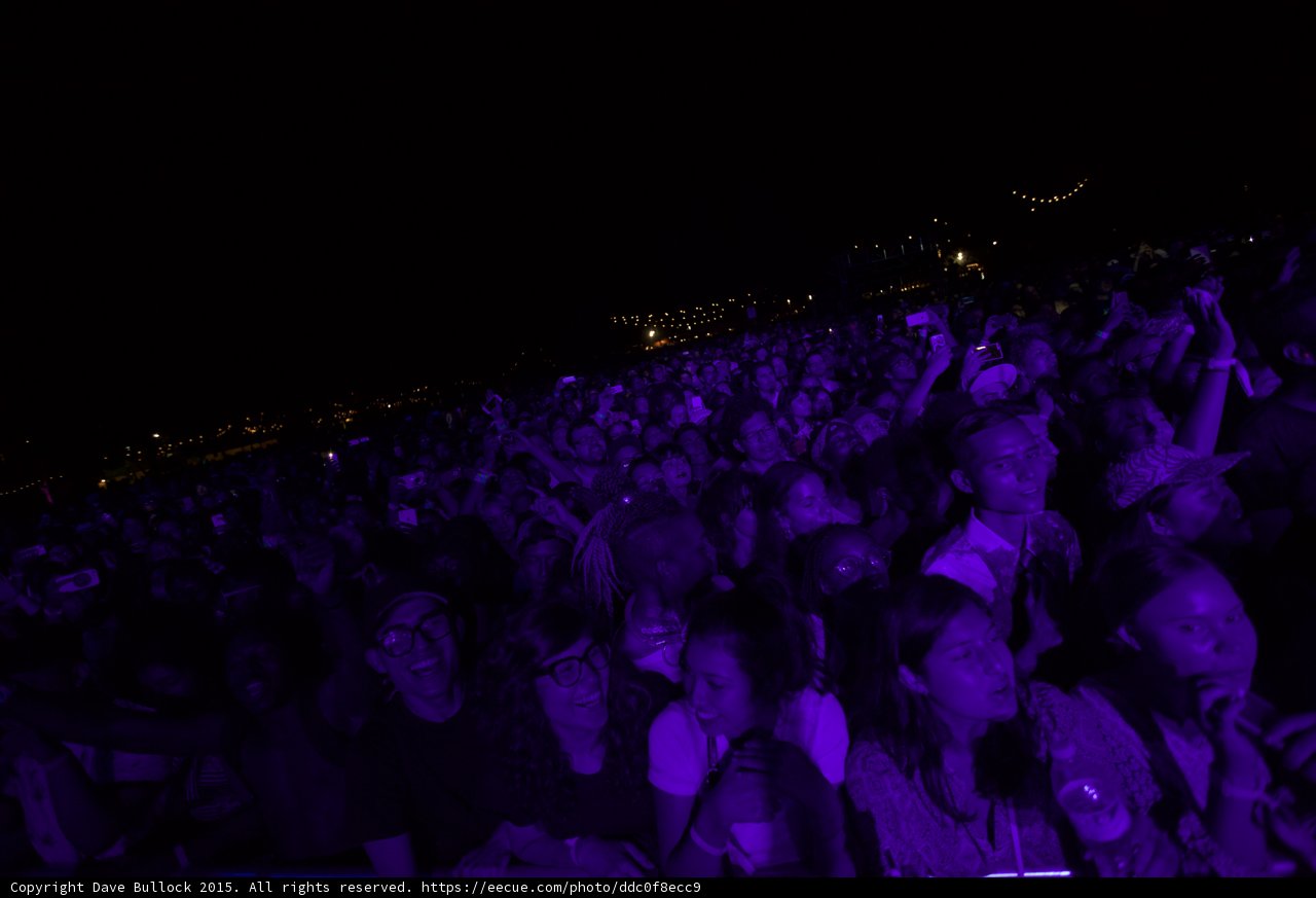 Massive Crowd Purple Light Phones Night