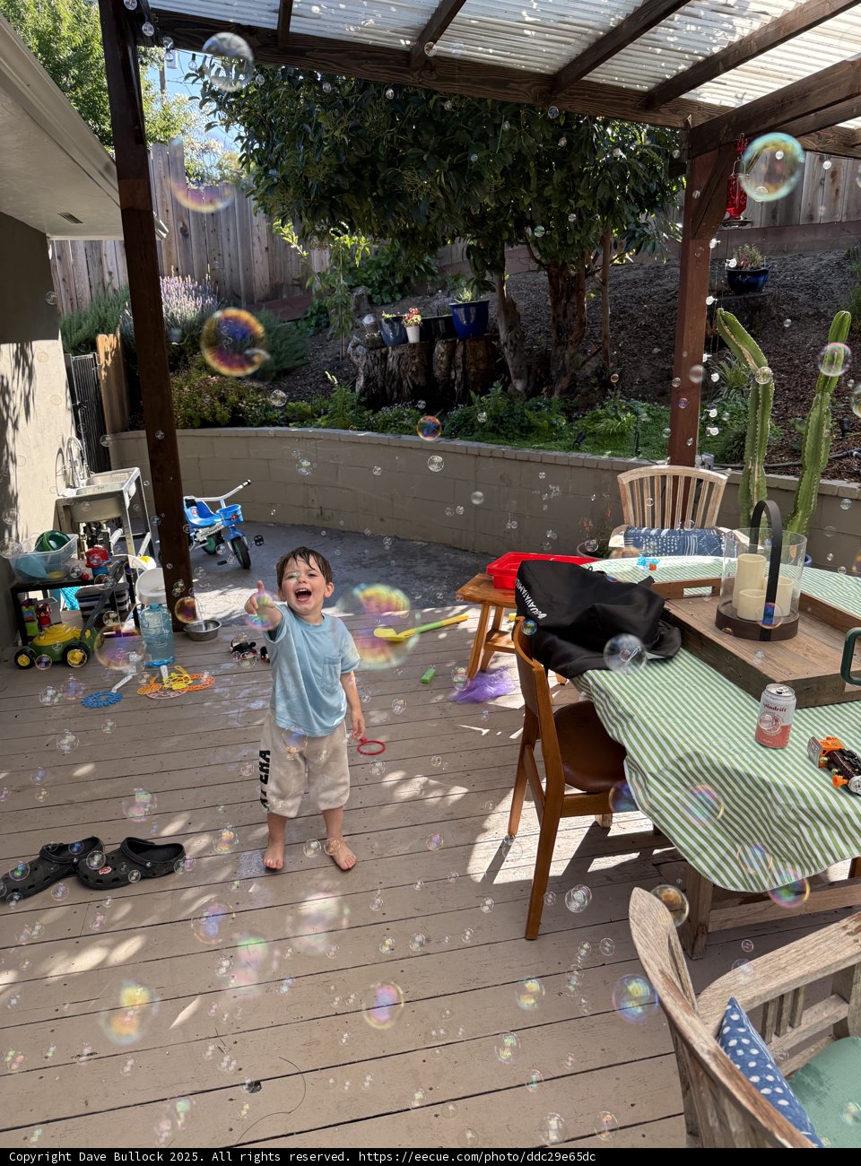 Summer Joy in the Backyard