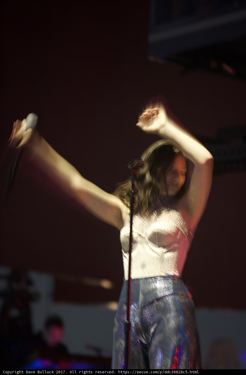 Singing the Night Away