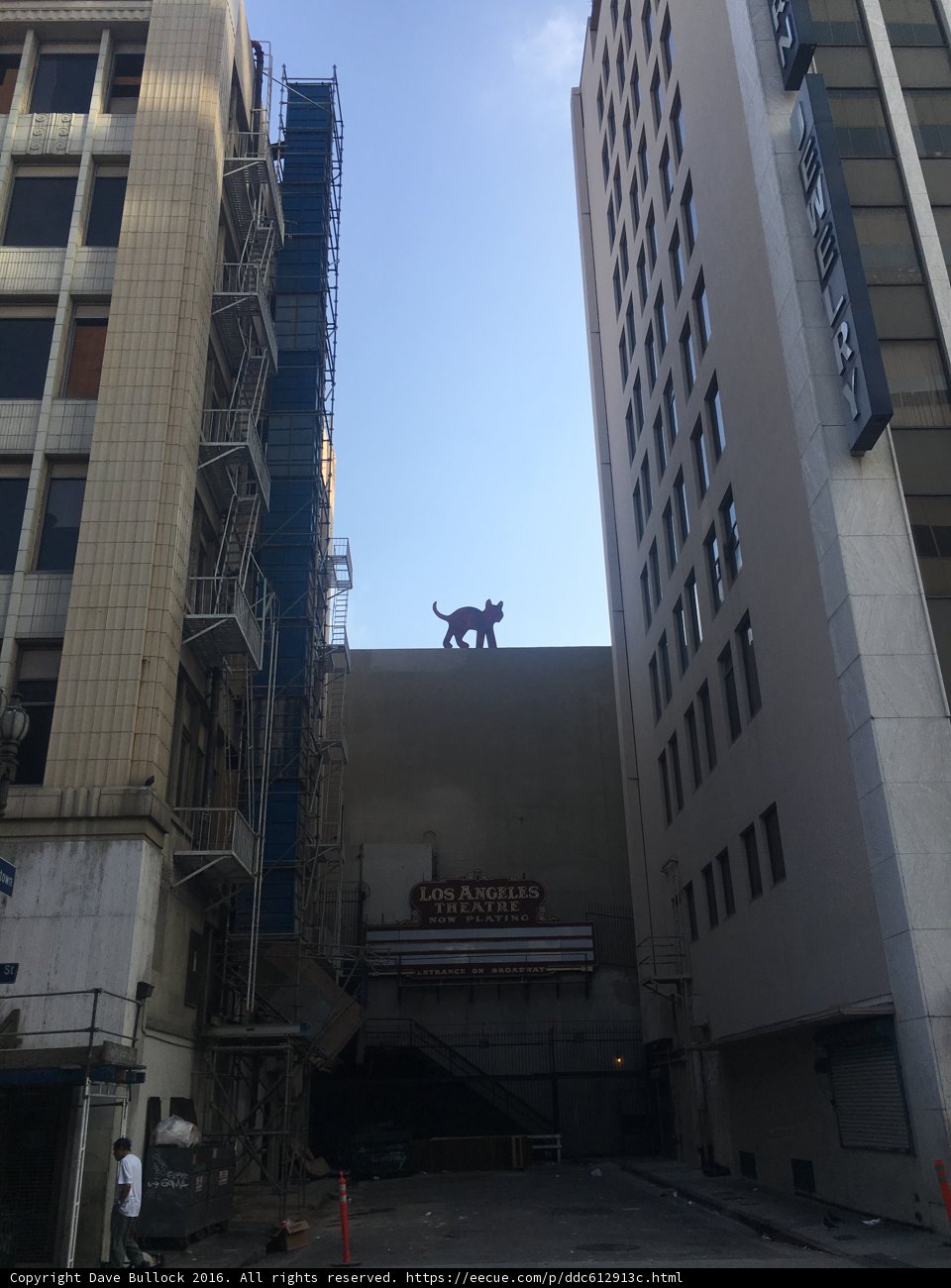 Canine Guardian of the City Skyline