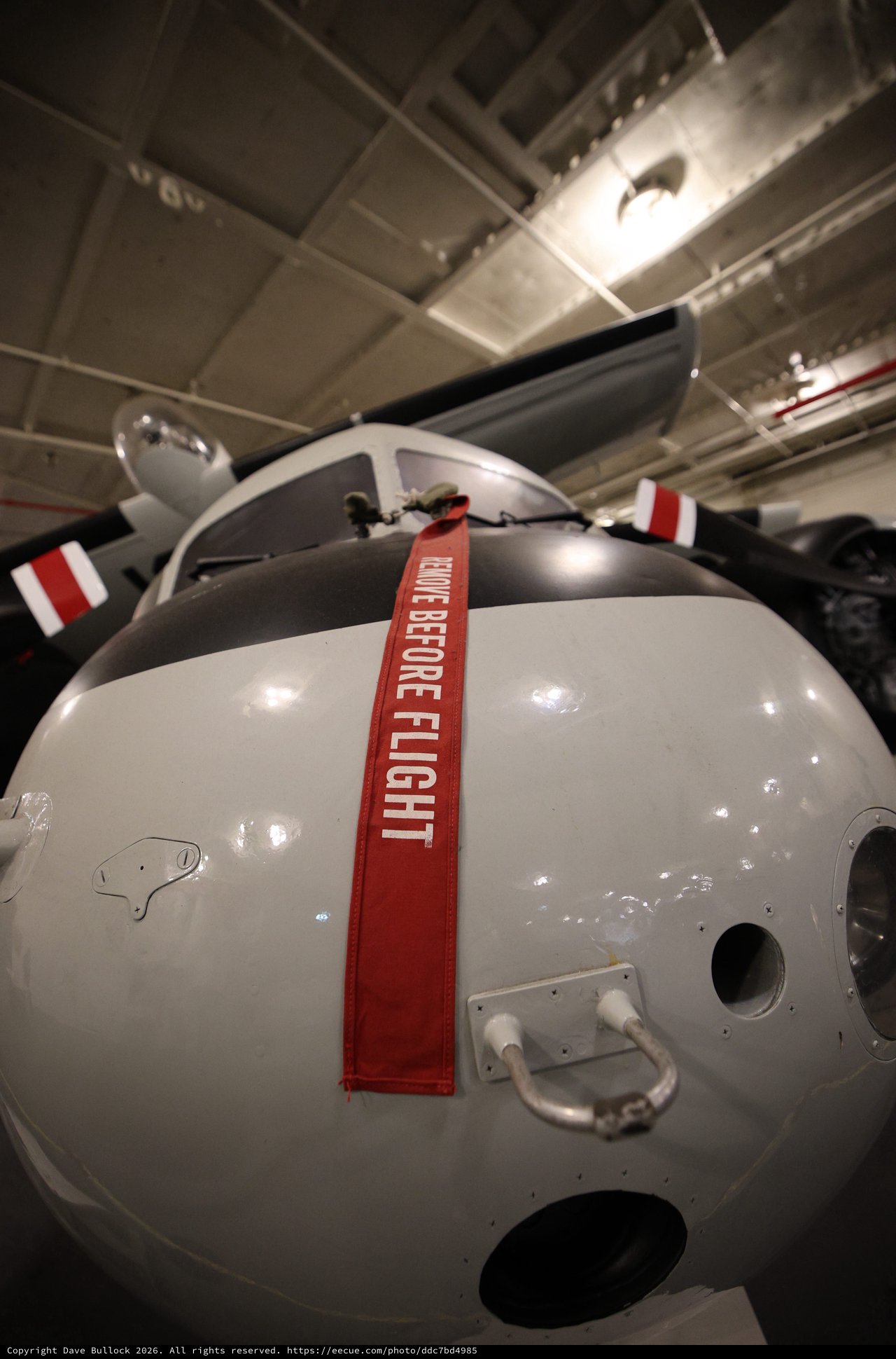 WWII Era Aircraft Nose with Remove Before Flight Warning