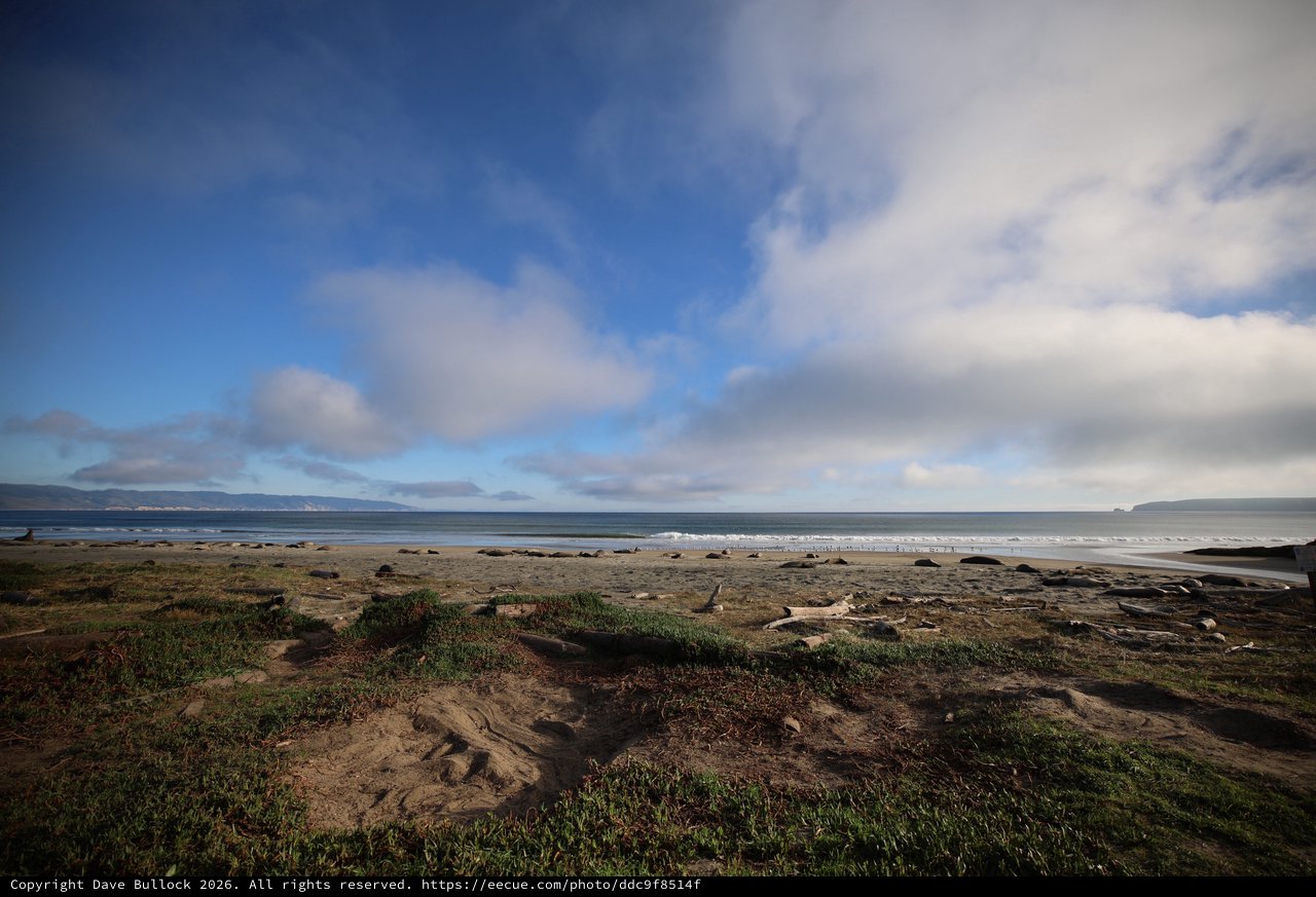 Coastal Serenity at Drakes Beach Elephant Seal Habitat