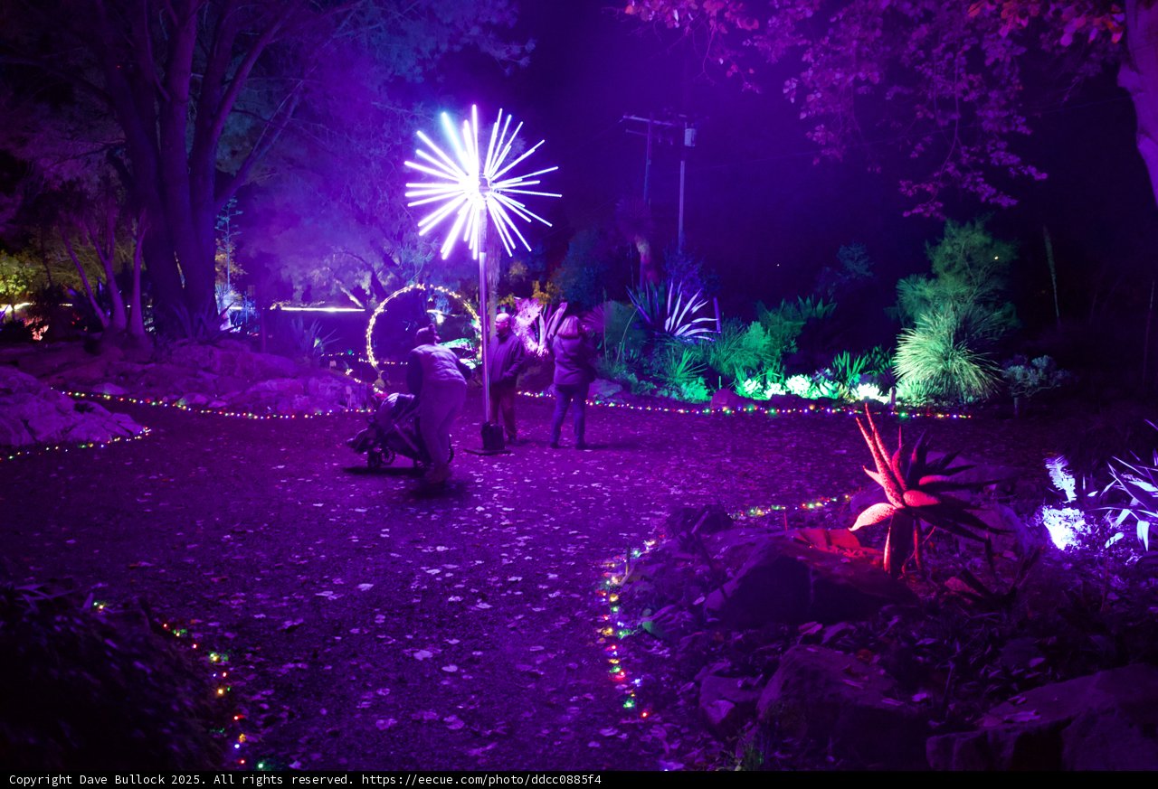 Enchanted Evenings in Purple