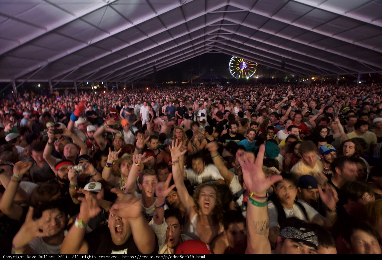 Hands Up at Coachella
