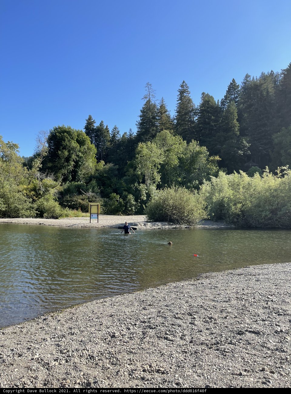 River Shore Serenity