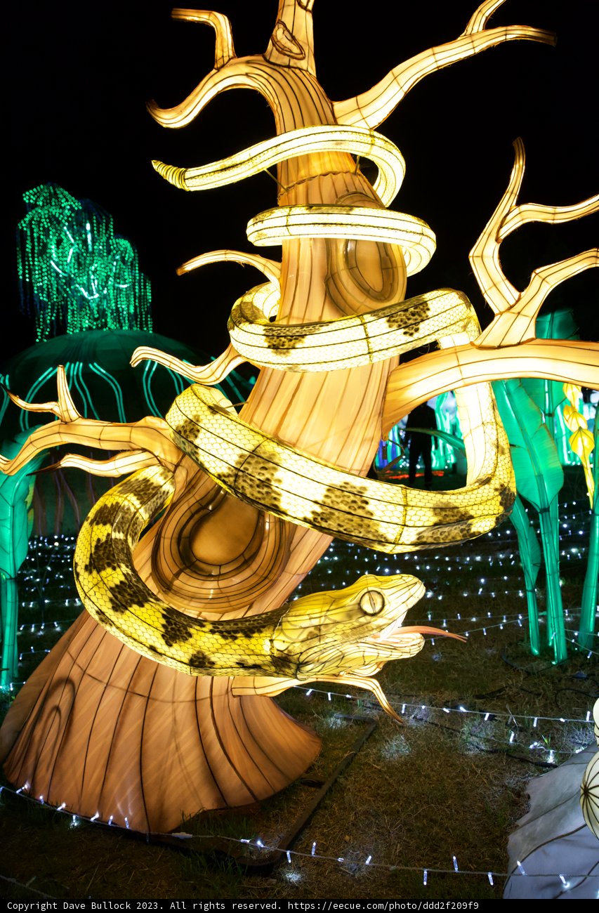 Majestic Glowfari Night: Serpentine Spectacle at Oakland Zoo