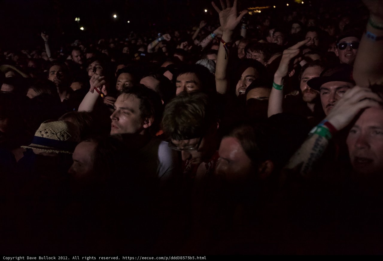 Crowd Goes Wild