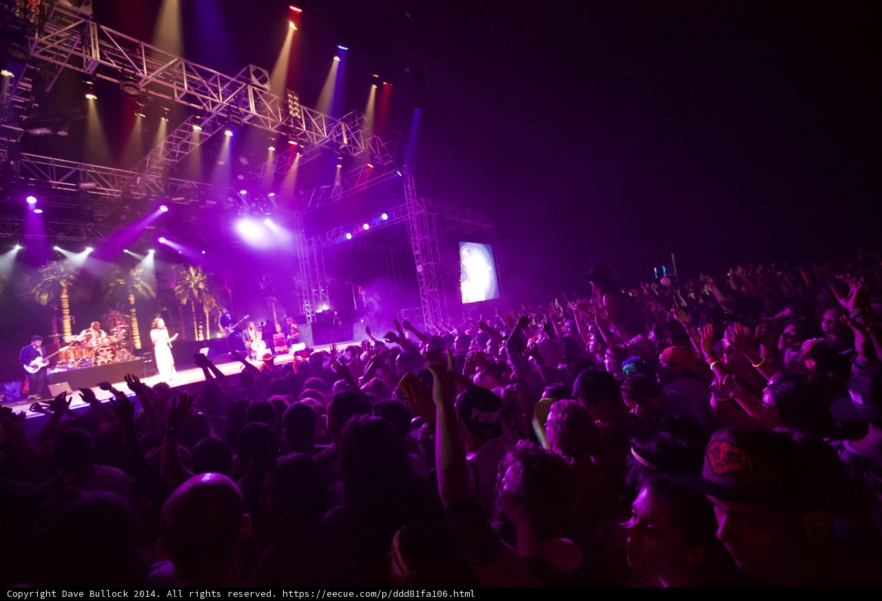 Rocking Out at Coachella