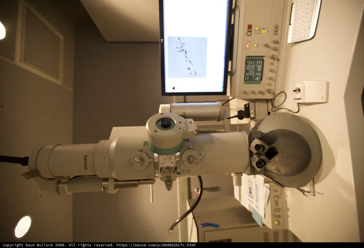 Microscopic Adventures in Architecture and Medicine