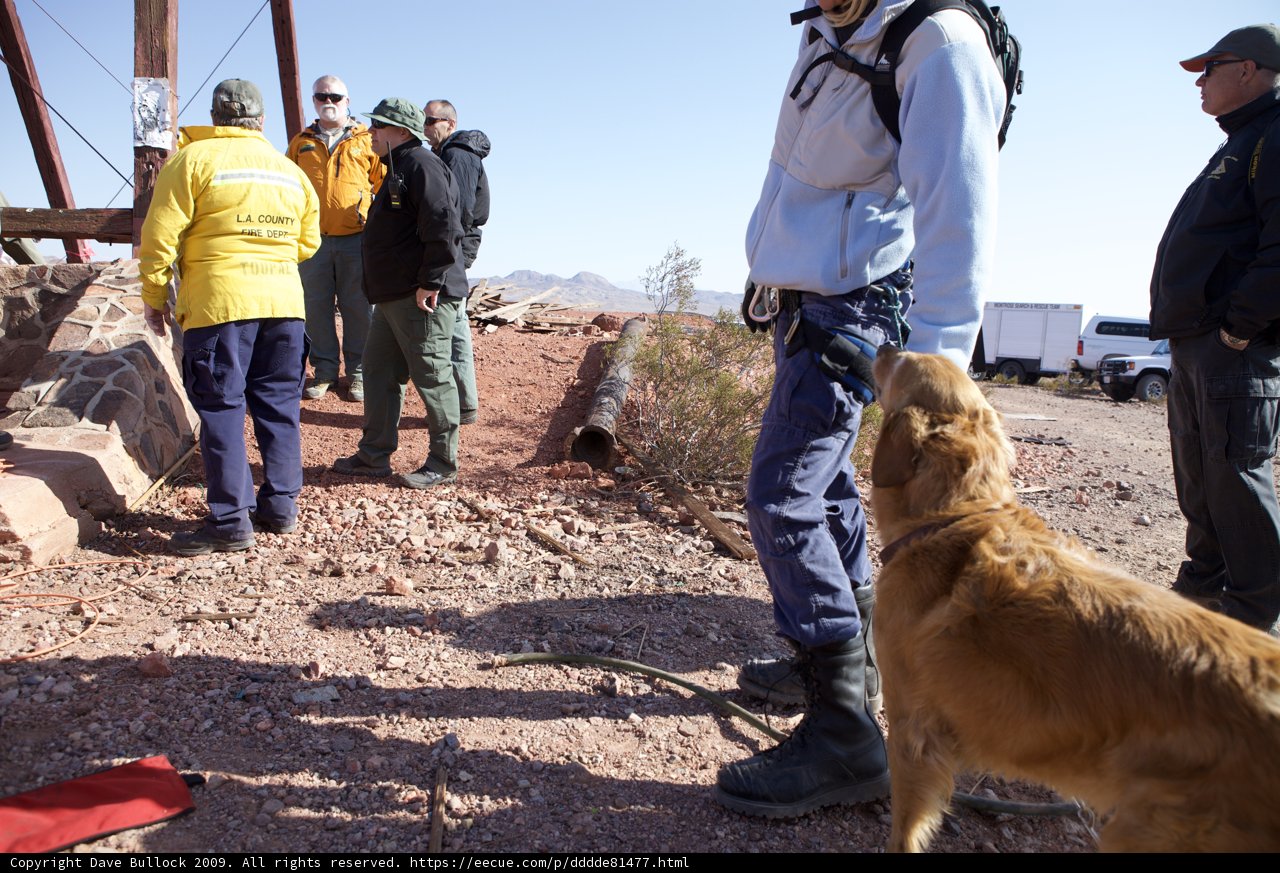 Man and Golden Retriever on a Hilltop Trail