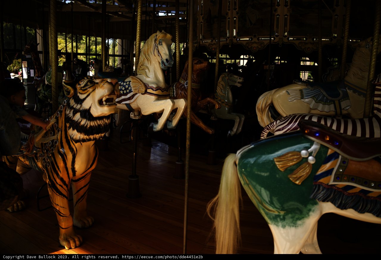 Unforgettable Day at Golden Gate Park Carousel, 2023