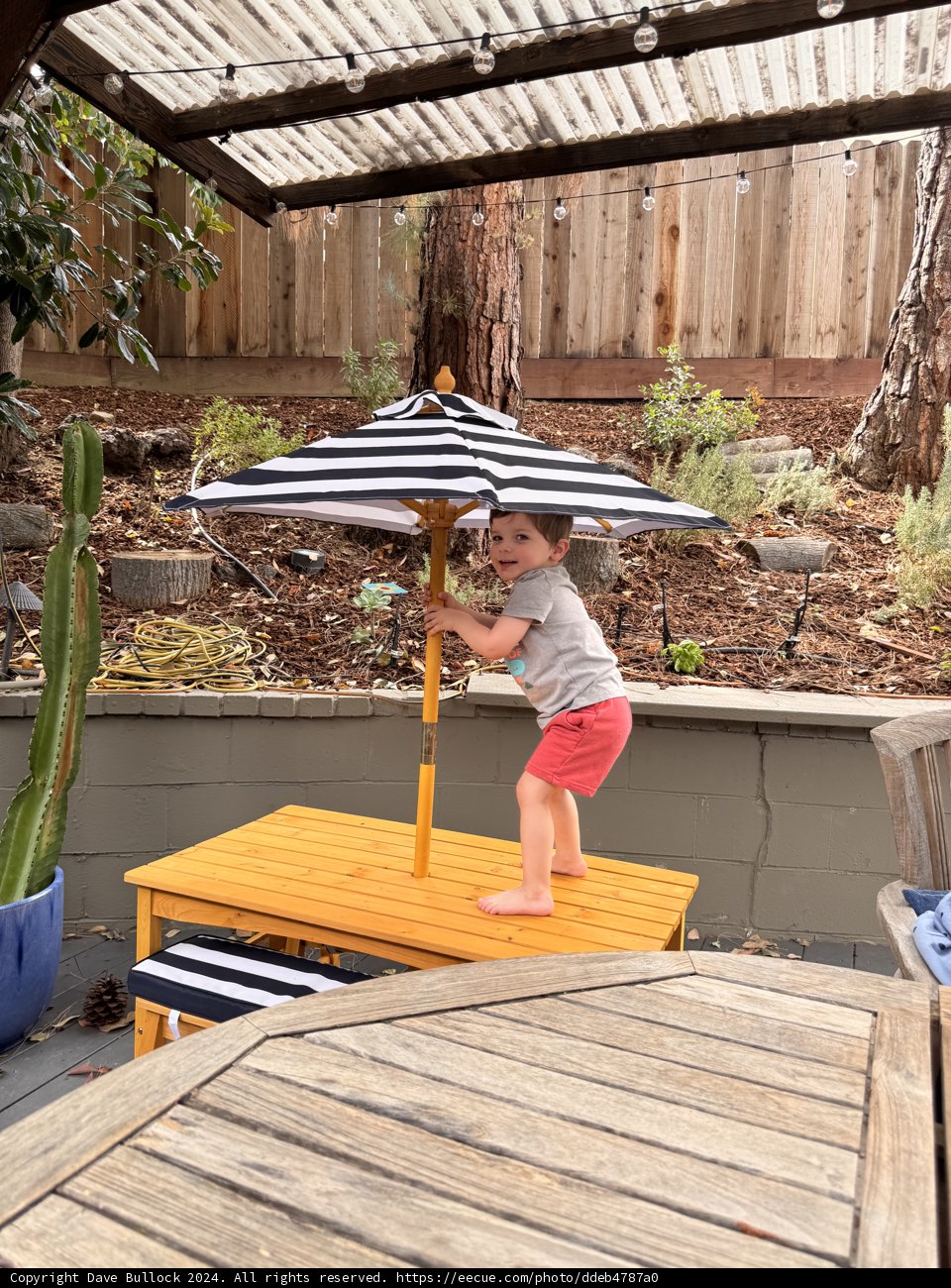 Summer Adventures on the Porch