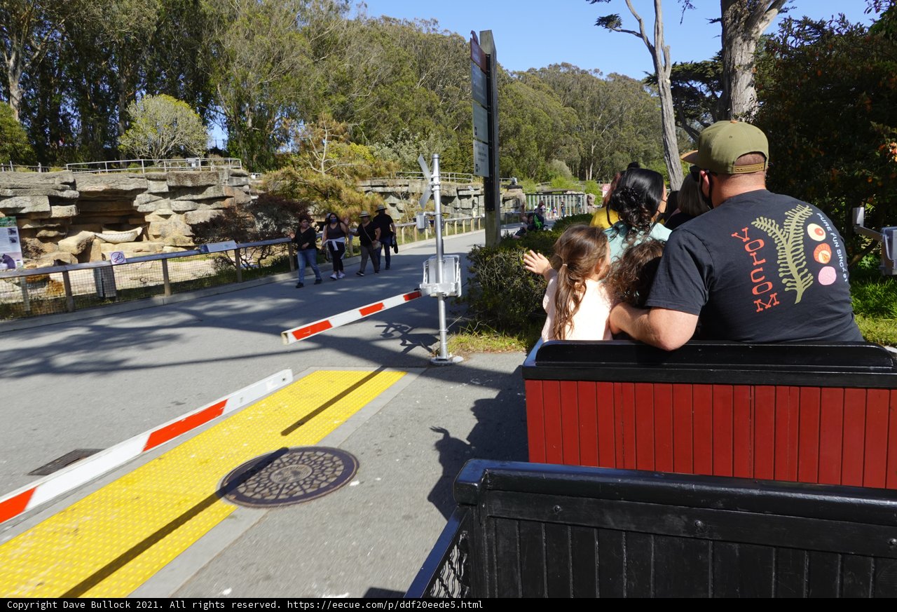Riding the Rails at the San Francisco Zoo