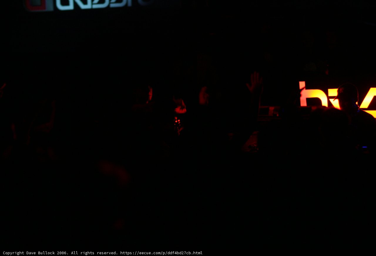 Disco Night at the Club