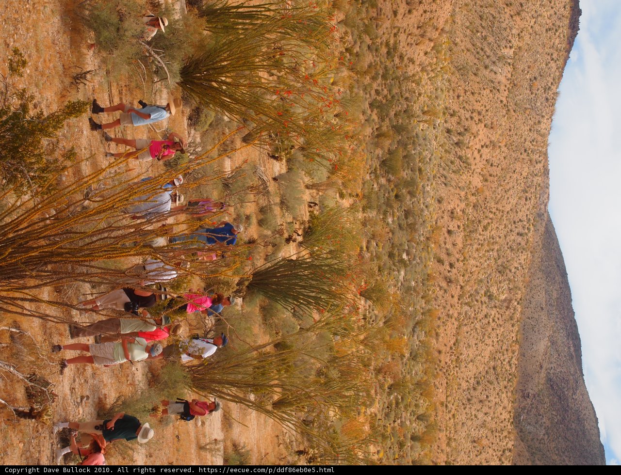 Adventure Awaits in the Anza Penelope Desert