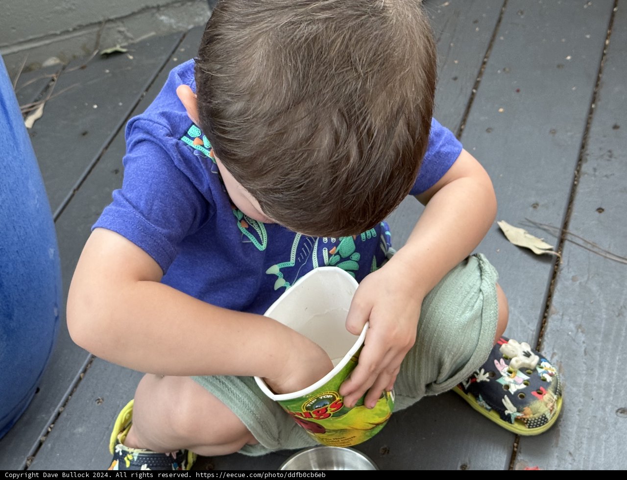 Ice Cream Exploration