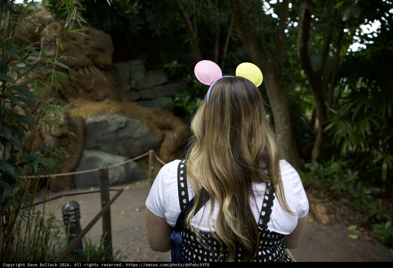 Balloon-Eared Bliss at Disneyworld's Animal Kingdom