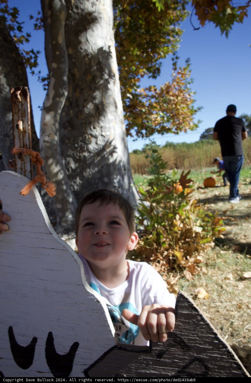 Autumn Adventures in Walnut Creek