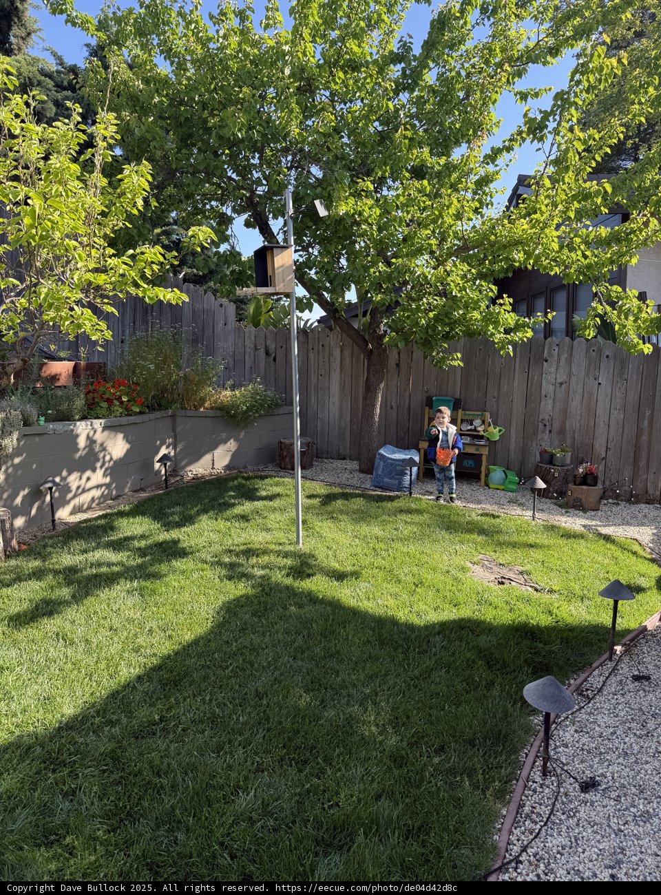 Springtime Adventures in the Backyard