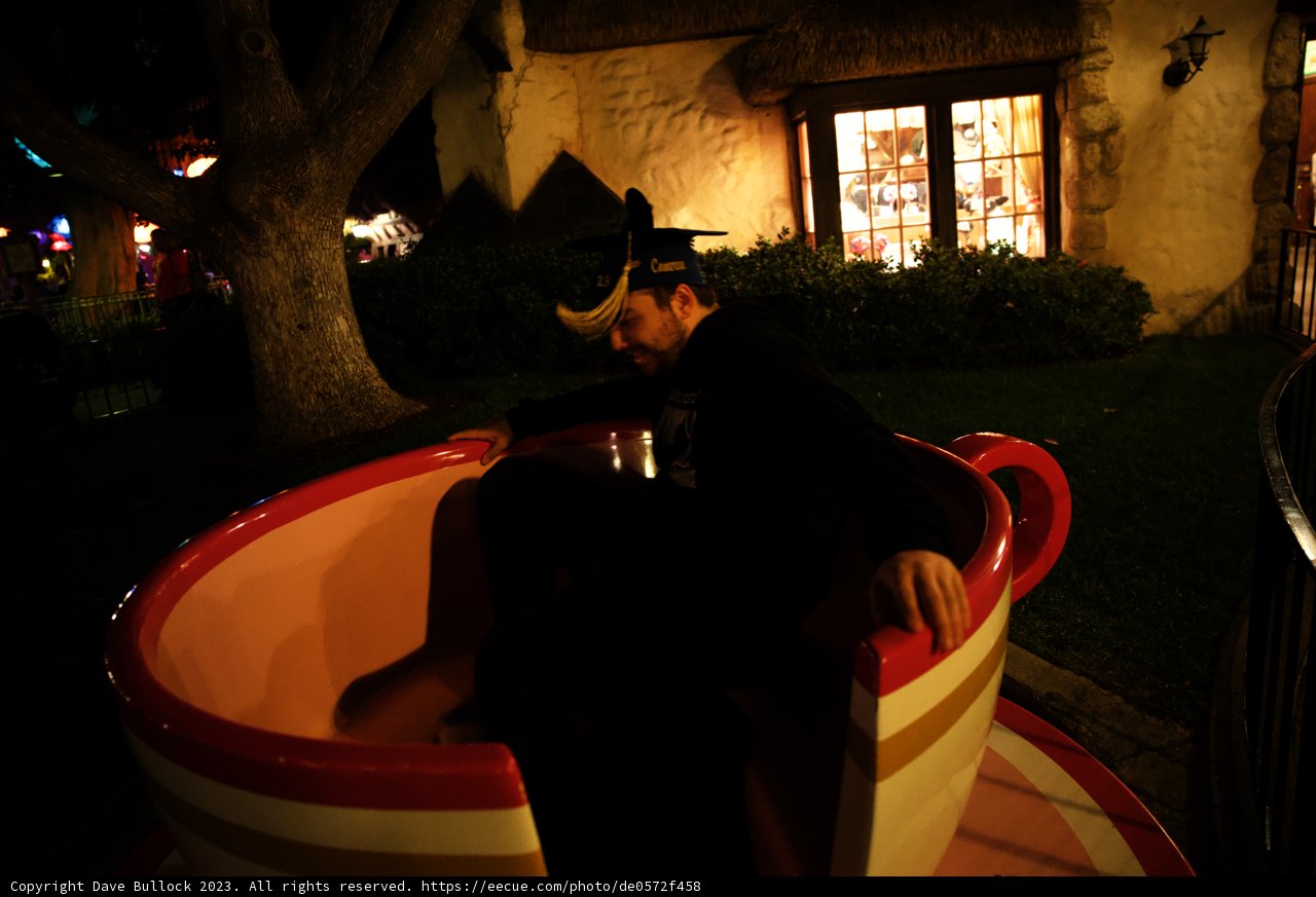 A Whimsical Tea Party Adventure