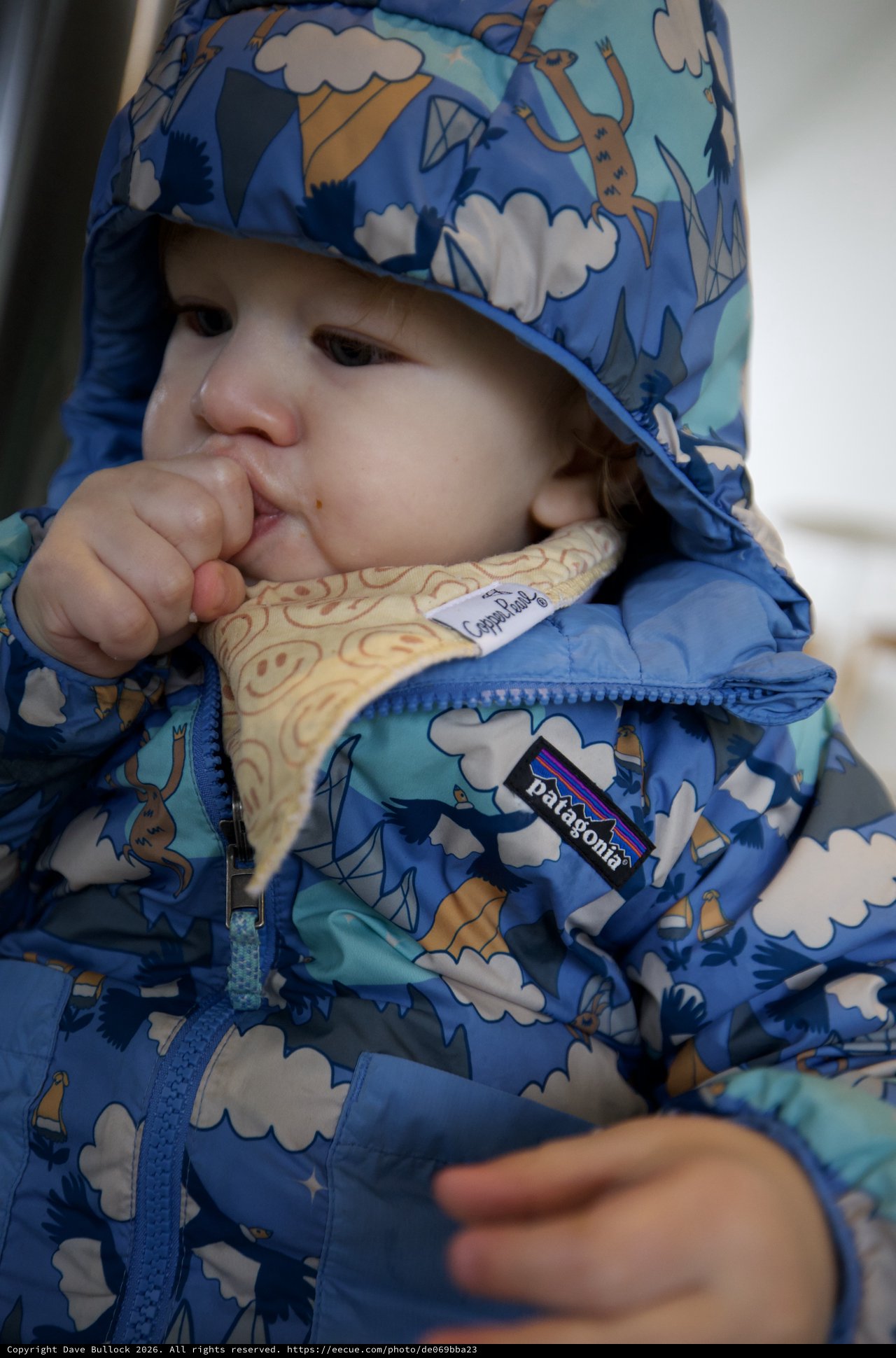 Toddler in Patagonia Jacket with Playful Dinosaur Print