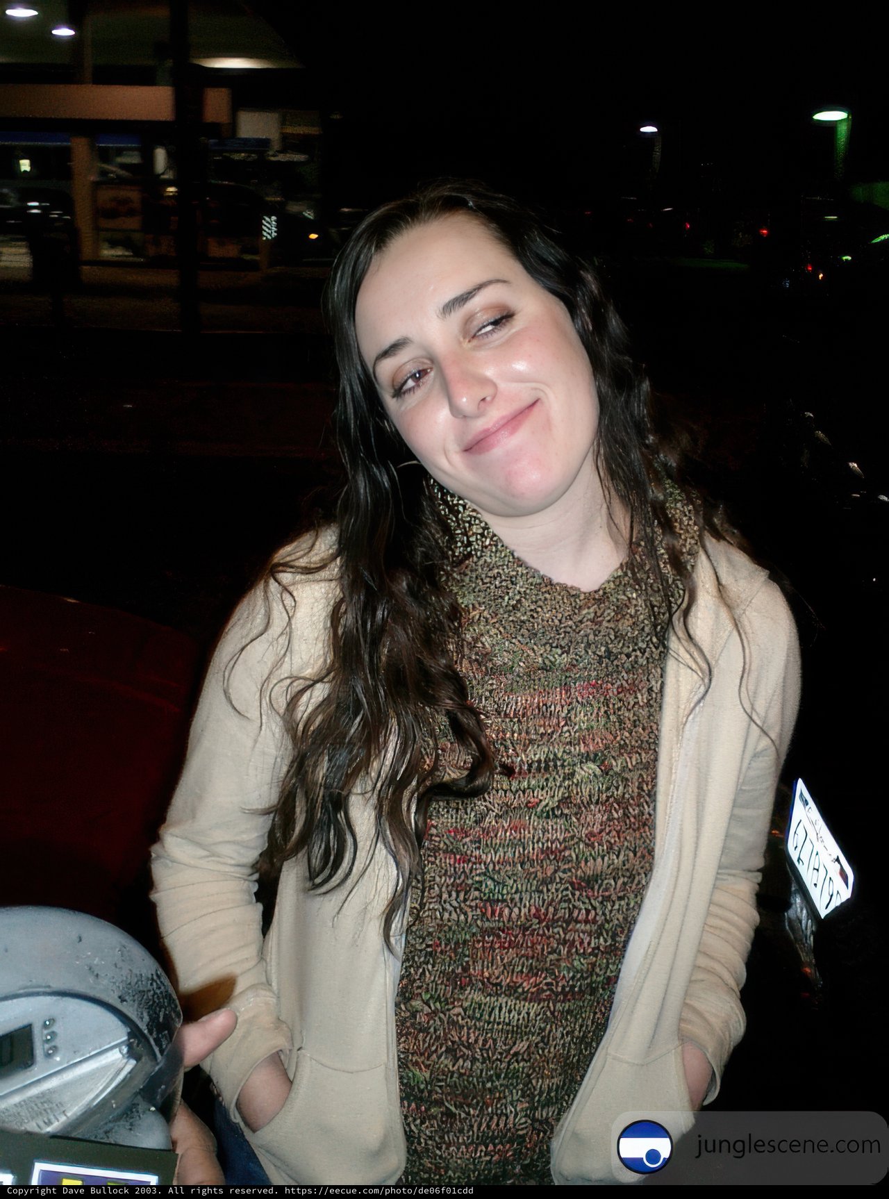 Smiling Woman Poses with Her Car